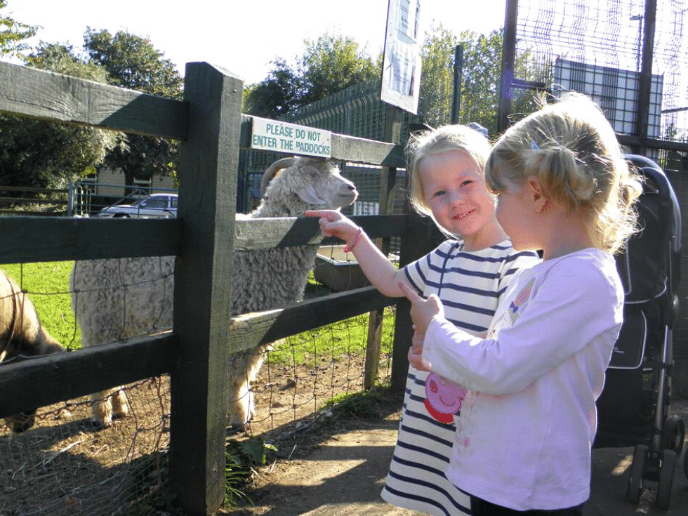 Stonebridge city farm | Things to do | Nottingham | Nottinghamshire | Family fun